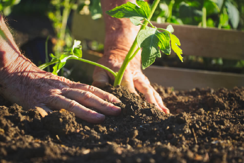 Is it even possible to grow a healthy garden in alkaline soil?