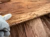 termite damage